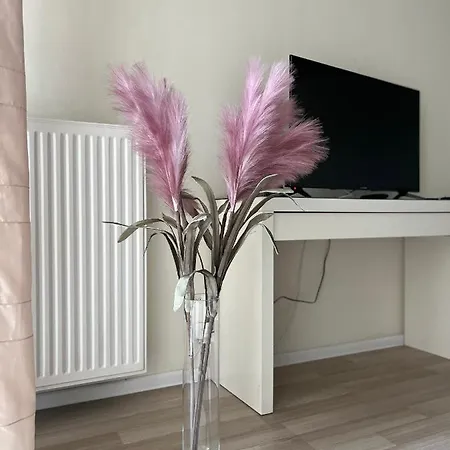 Apartment Inside Warsaw