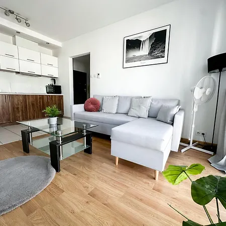 Apartment Inside Warsaw